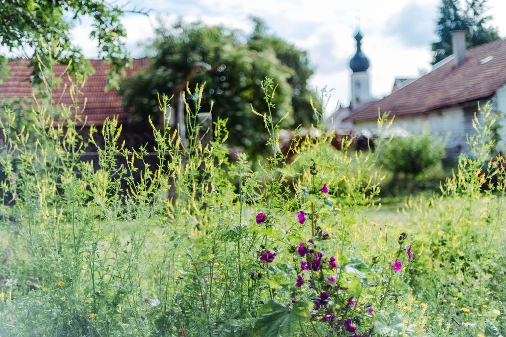 Historischer Pfarrhof Niederleierndorf Langquaid 외부 사진